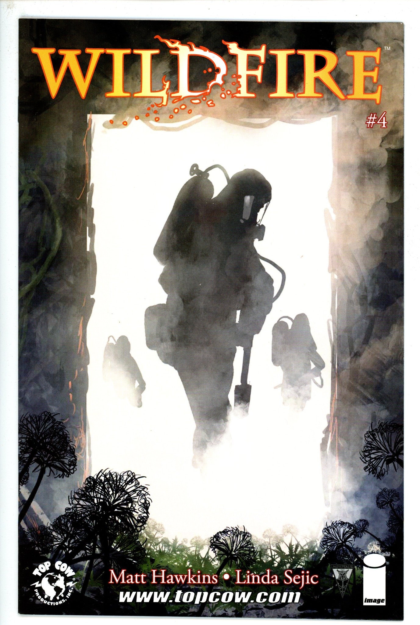 Wildfire 4-Image-CaptCan Comics Inc