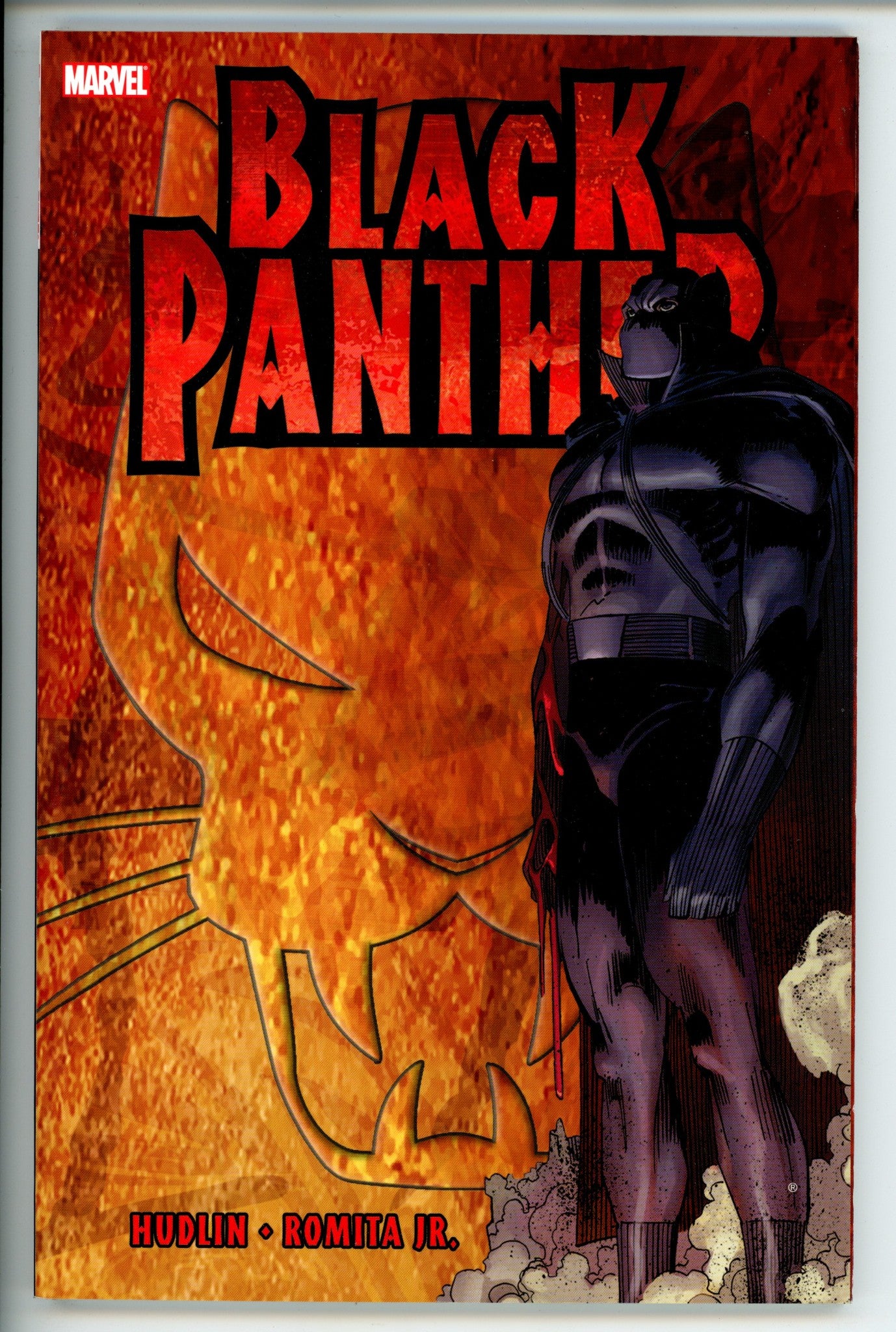 Black Panther Who is the Black Panther