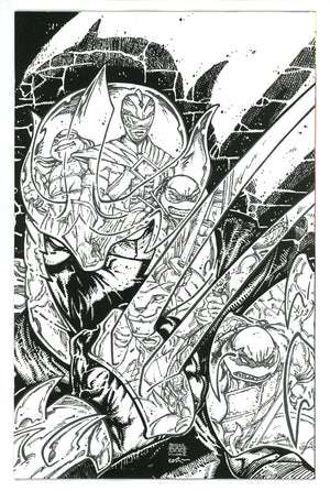 Mighty Morphin Power Rangers / Teenage Mutant Ninja Turtles II 2 Eastman Incentive Variant NM+ (2023)