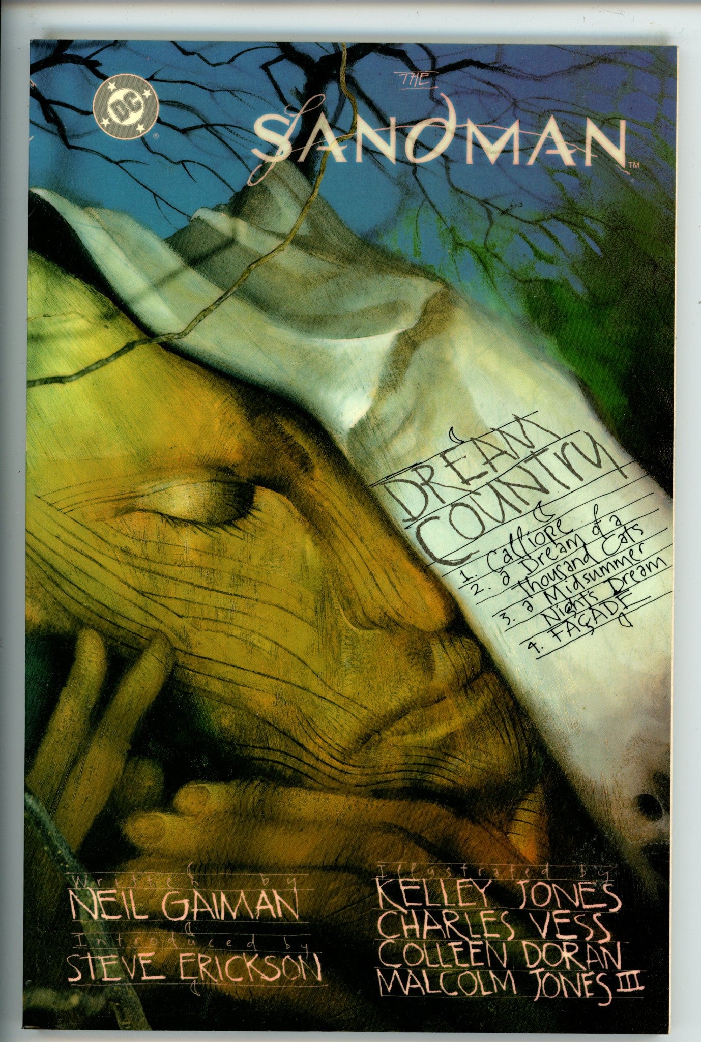 Sandman Dream Country TPB