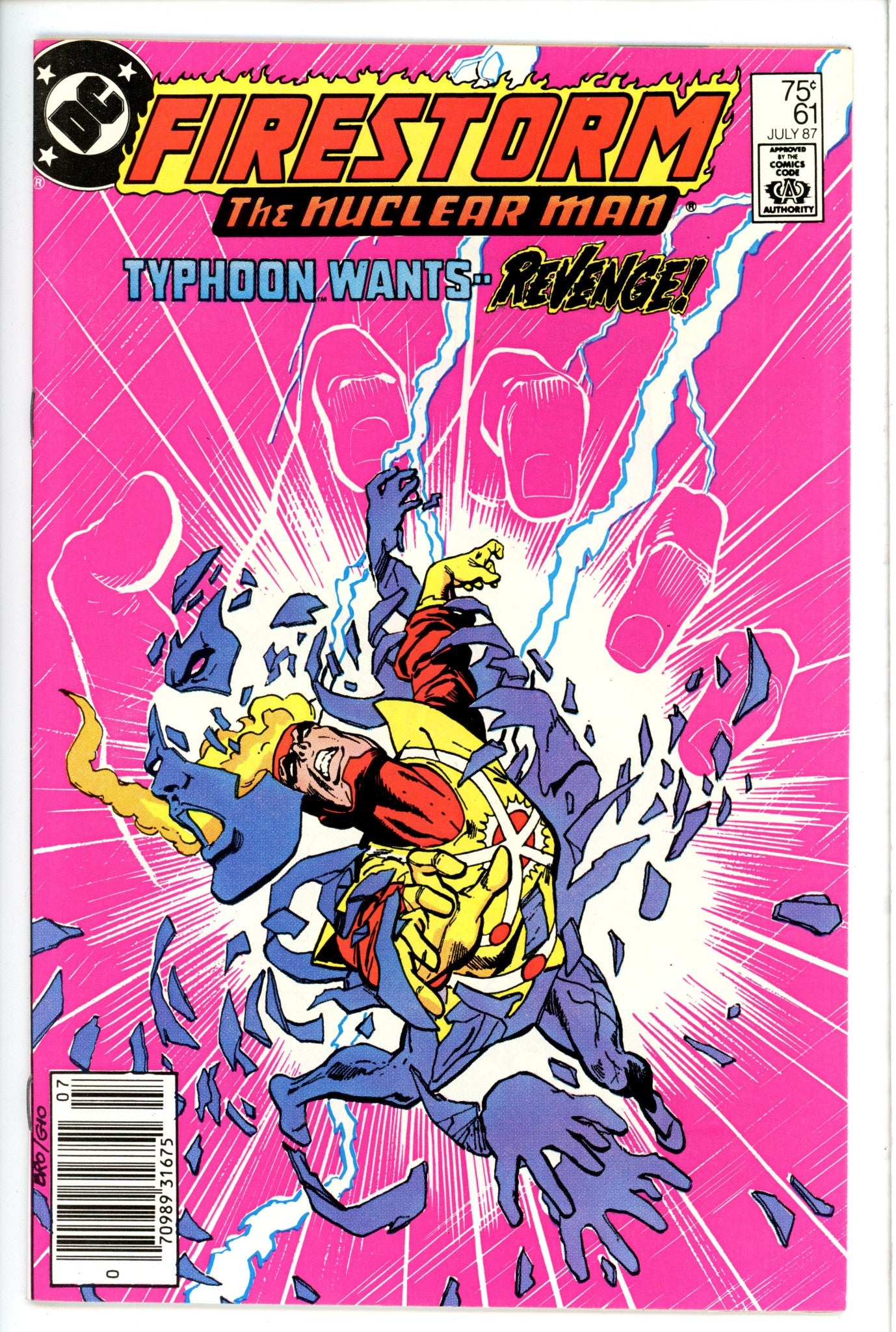 The Fury of Firestorm Vol 2 61 Newsstand-DC-CaptCan Comics Inc