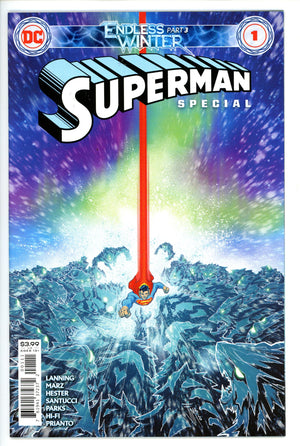 Superman: Endless Winter Special  1