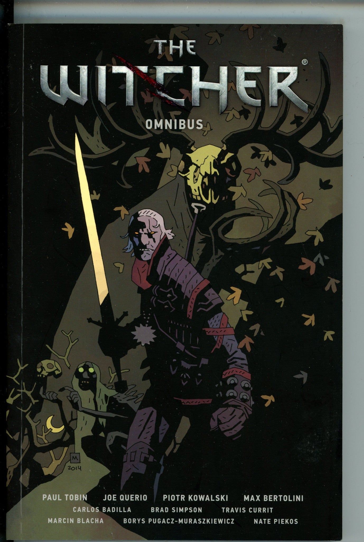 The Witcher Vol 1 TPB