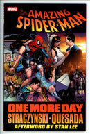 Spider-Man One More Day
