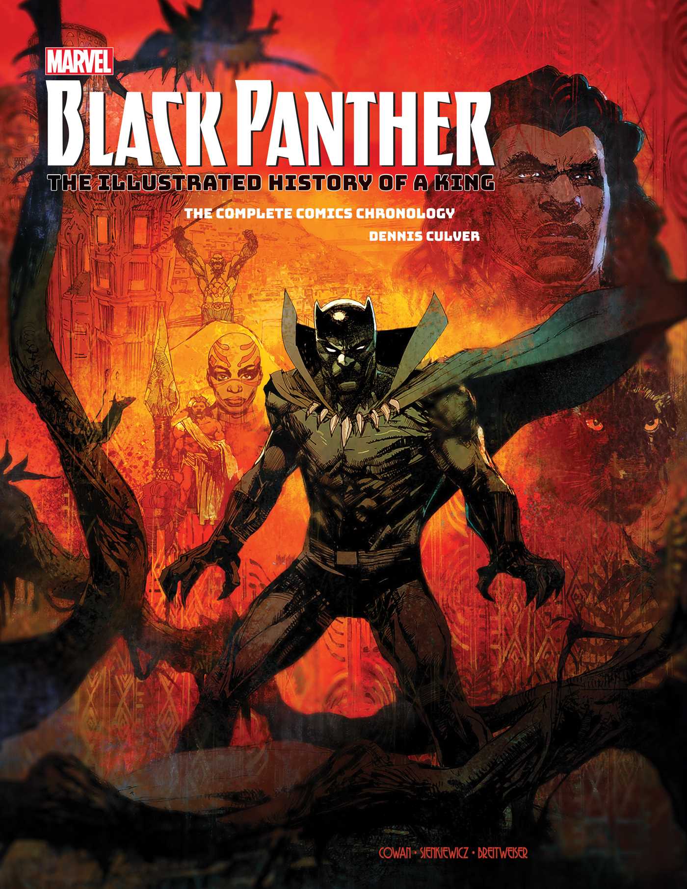 Black Panther Illustrated History of a King HC