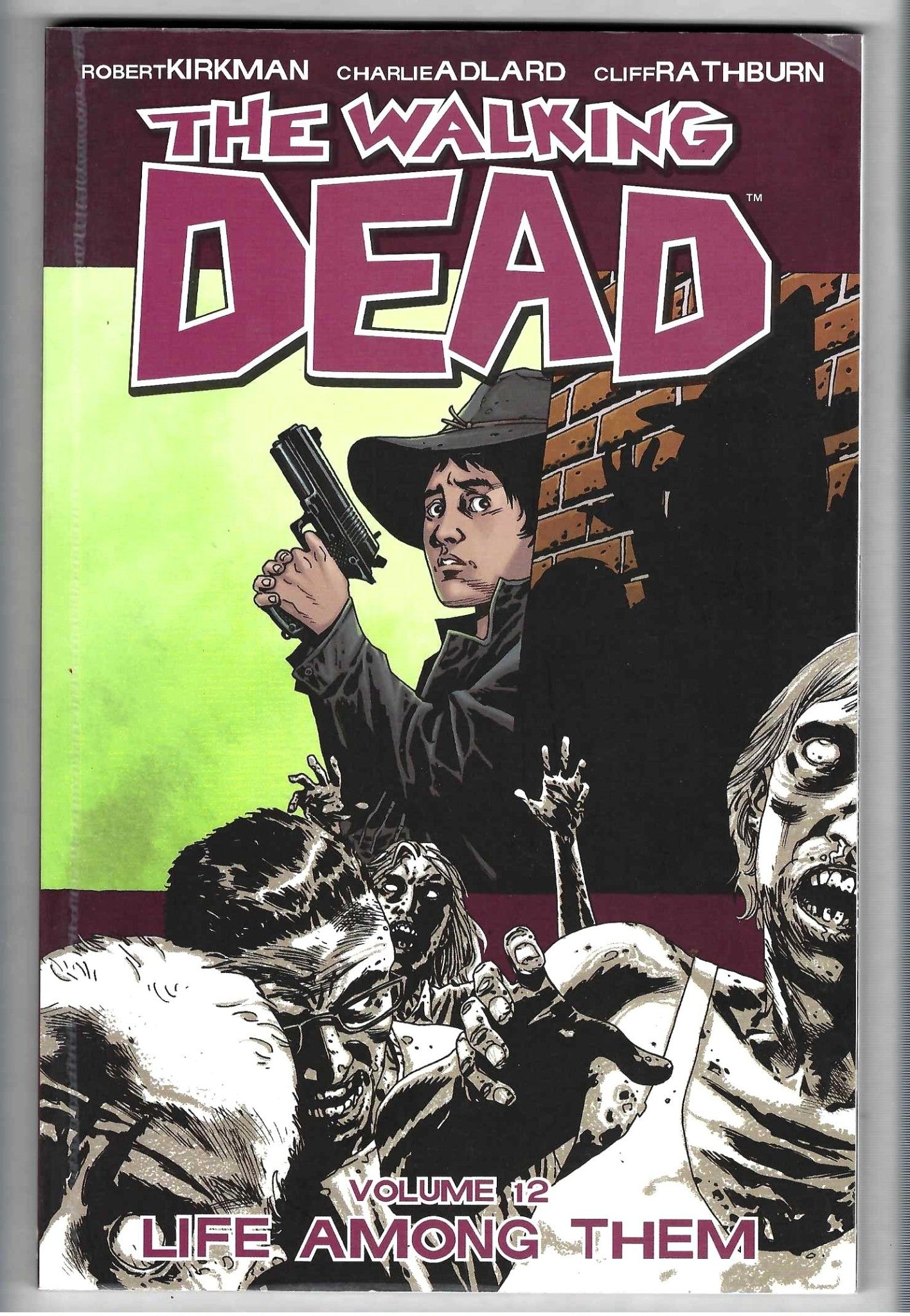Walking Dead Vol 12 Life Among Them
